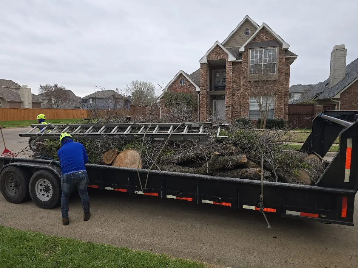 Expert Tree Removal with proper safety equipment in Ocean City